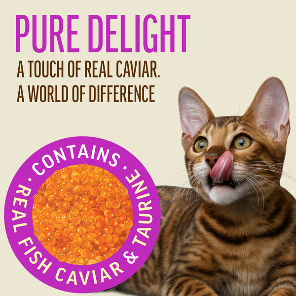 Creamy Snacks Lamb with Caviar - Cat Treats - Set Of 5x30g