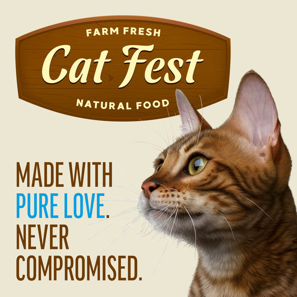 Chicken With Salmon In Tender Jelly - Cat Wet Food - Set Of 12x70g