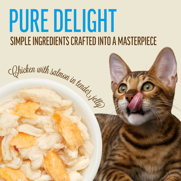 Chicken With Salmon In Tender Jelly - Cat Wet Food - Set Of 12x70g