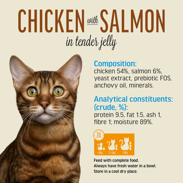 Chicken With Salmon In Tender Jelly - Cat Wet Food - Set Of 12x70g