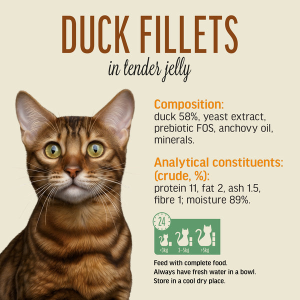 Duck Fillets In Tender Jelly - Cat Wet Food - Set Of 12x70g