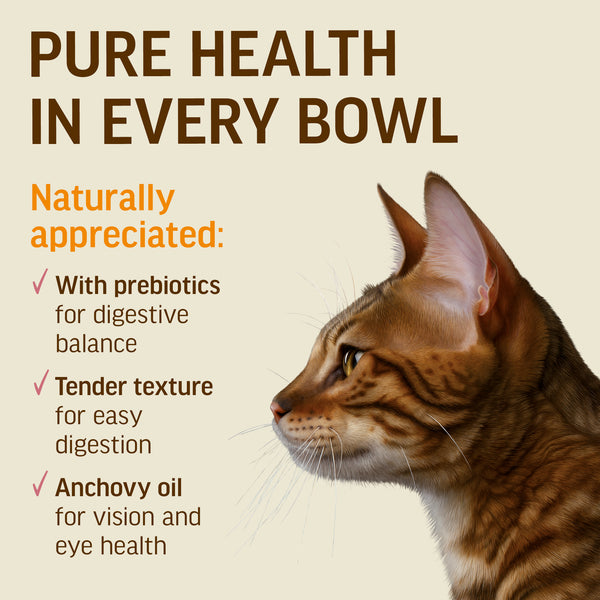 Duck With Tuna In Tender Jelly - Cat Wet Food - Set Of 12x70g