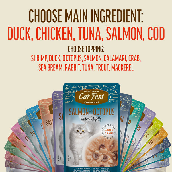Salmon Fillets In Tender Jelly - Cat Wet Food - Set Of 12x70g