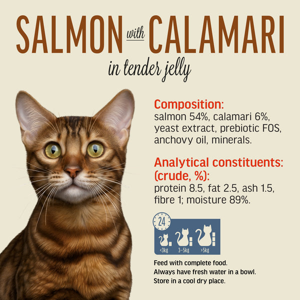 Salmon Wtih Calamari In Tender Jelly - Cat Wet Food - Set Of 12x70g