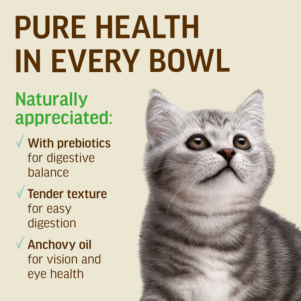 Cod Mousse for Kittens - Cat Wet Food - Set Of 12x70g