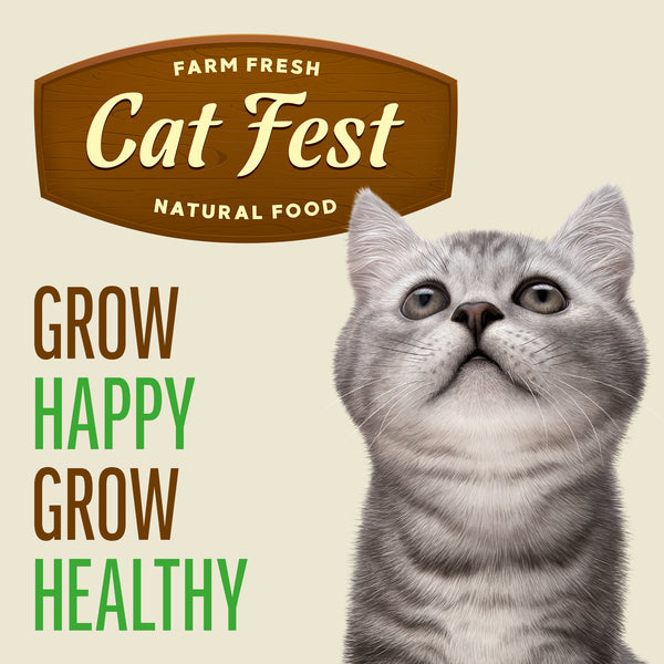 Cod Mousse for Kittens - Cat Wet Food - Set Of 12x70g