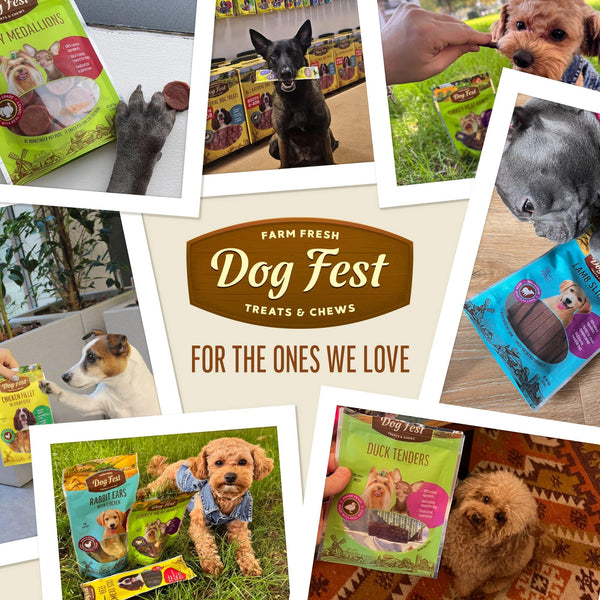 Dog Fest natural dog treats