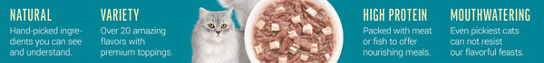 Cat Food