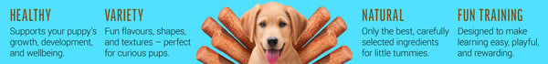 Puppies