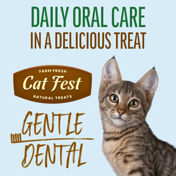 Gentle Dental Pillows With Salmon - Oral Care Cat Treats - Set Of 5x30g