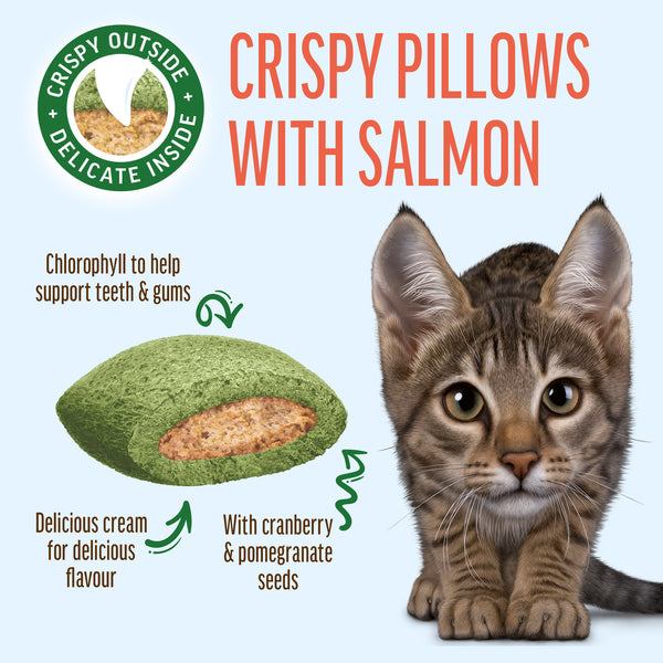Gentle Dental Pillows With Salmon - Oral Care Cat Treats - Set Of 5x30g