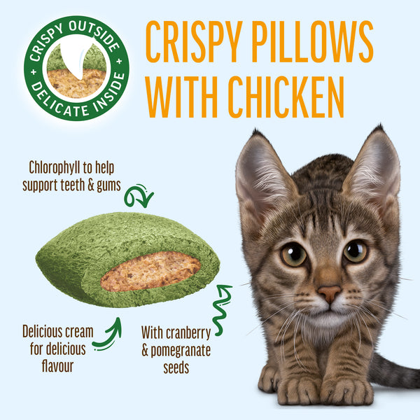 Gentle Dental Pillows With Chicken - Oral Care Cat Treats - Set Of 5x30g