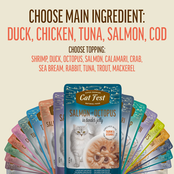 Tuna Fillets In Tender Jelly - Cat Wet Food - Set Of 12x70g