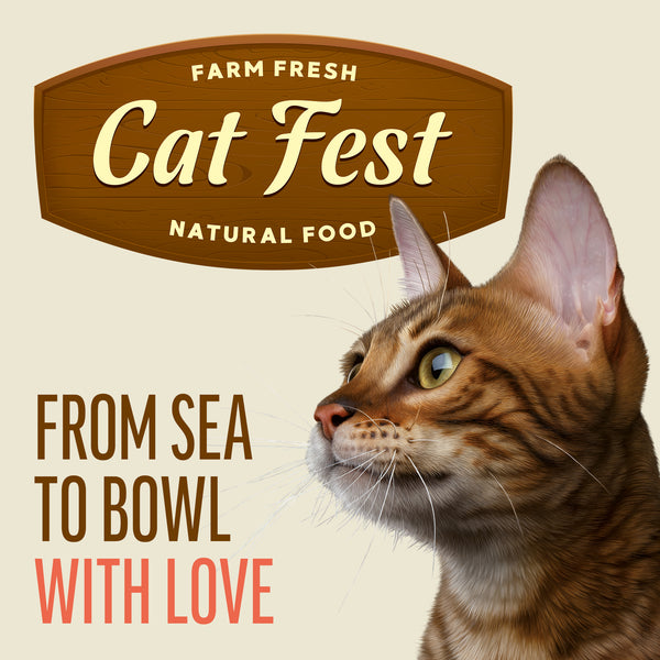 Tuna Fillets In Tender Jelly - Cat Wet Food - Set Of 12x70g