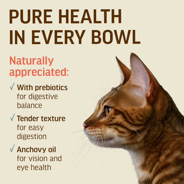 Tuna With Sea Bream In Tender Jelly - Cat Wet Food - Set Of 12x70g