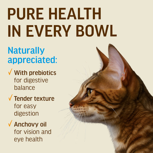 Chicken With Salmon In Tender Jelly - Cat Wet Food - Set Of 12x70g