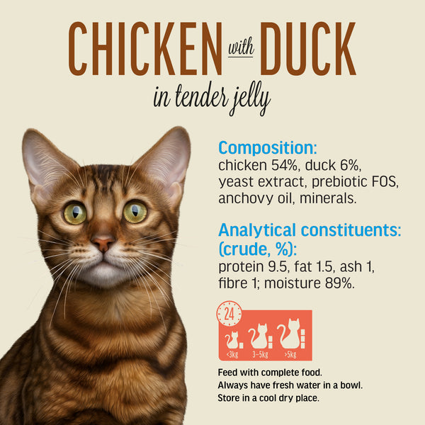 Chicken With Duck In Tender Jelly - Cat Wet Food - Set Of 12x70g