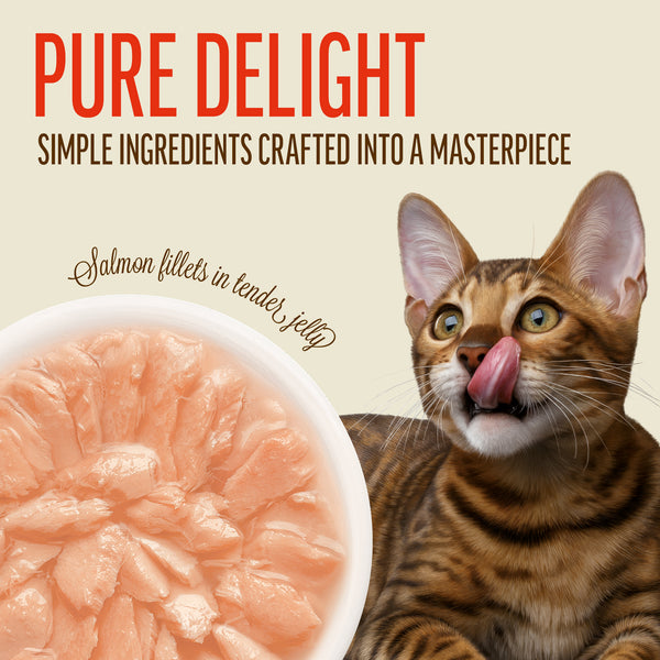 Salmon Fillets In Tender Jelly - Cat Wet Food - Set Of 12x70g