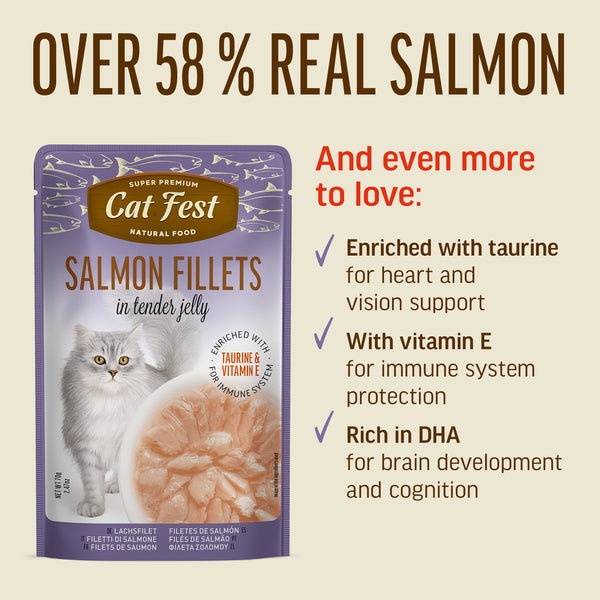 Salmon Fillets In Tender Jelly - Cat Wet Food - Set Of 12x70g