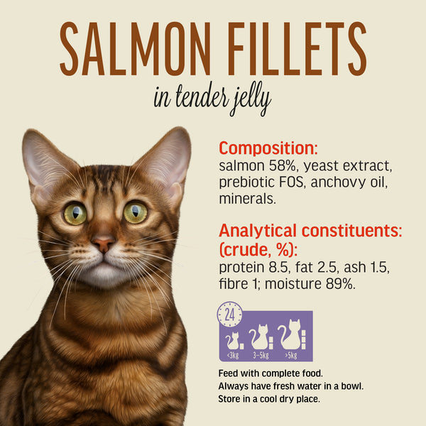 Salmon Fillets In Tender Jelly - Cat Wet Food - Set Of 12x70g
