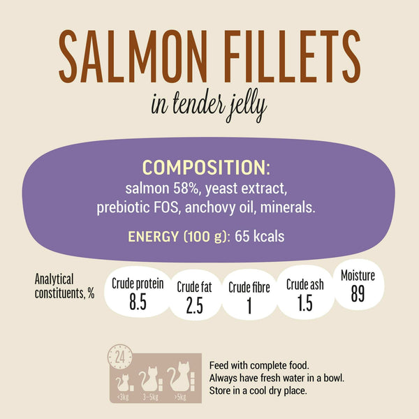 Salmon Fillets In Tender Jelly - Cat Wet Food - Set Of 12x70g - Pet Fest