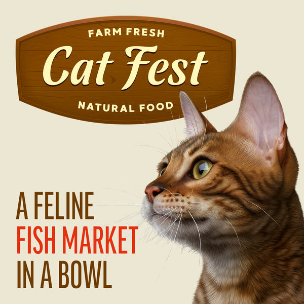 Salmon Wtih Crab Stick In Tender Jelly - Cat Wet Food - Set Of 12x70g