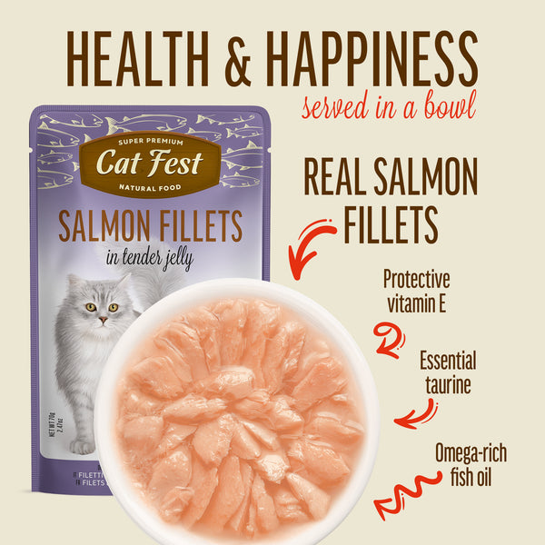 Salmon Fillets In Tender Jelly - Cat Wet Food - Set Of 12x70g