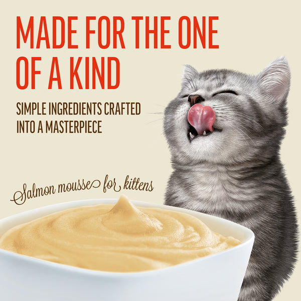 Salmon Mousse for Kittens - Cat Wet Food - Set Of 12x70g