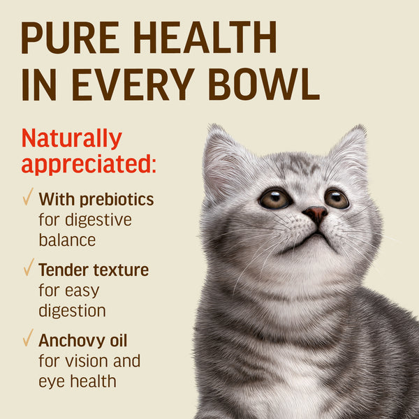 Salmon Mousse for Kittens - Cat Wet Food - Set Of 12x70g