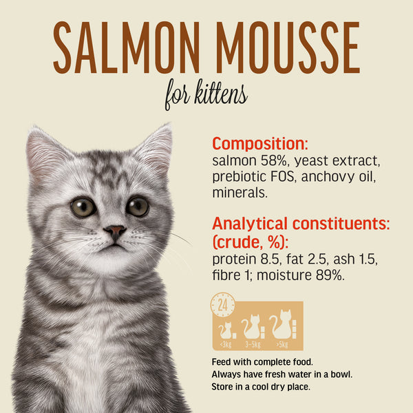 Salmon Mousse for Kittens - Cat Wet Food - Set Of 12x70g