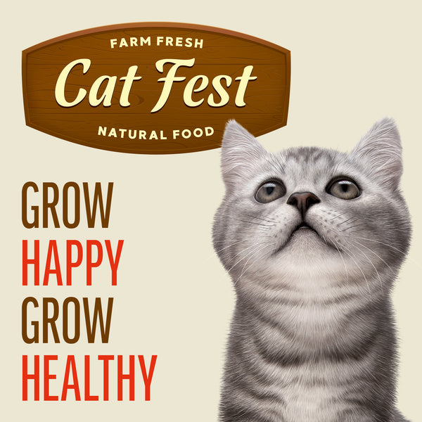 Salmon Mousse for Kittens - Cat Wet Food - Set Of 12x70g