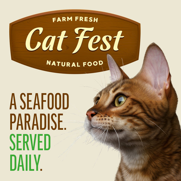 Cod with Chicken In Tender Jelly - Cat Wet Food - Set Of 12x70g