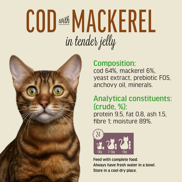 Cod with Mackerel In Tender Jelly - Cat Wet Food - Set Of 12x70g