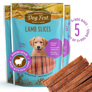 Lamb Slices - Dog Treats For Puppies - Set Of 5x90g - Pet Fest