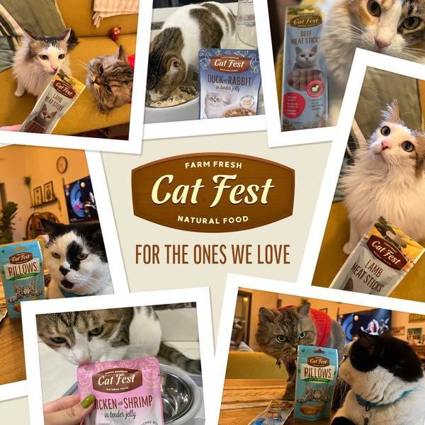 Salmon Mousse for Kittens - Cat Wet Food - Set Of 12x70g